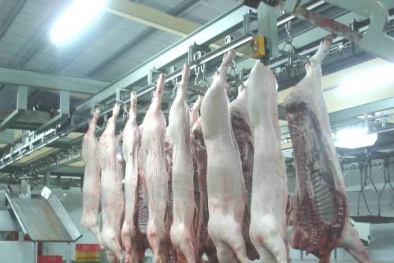 Hà Nội phải 'bêu tên' 13Win OKVIP Cá cược bóng đá không an toàn trên báo chí